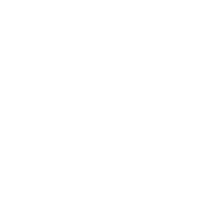 NINERS Chemnitz